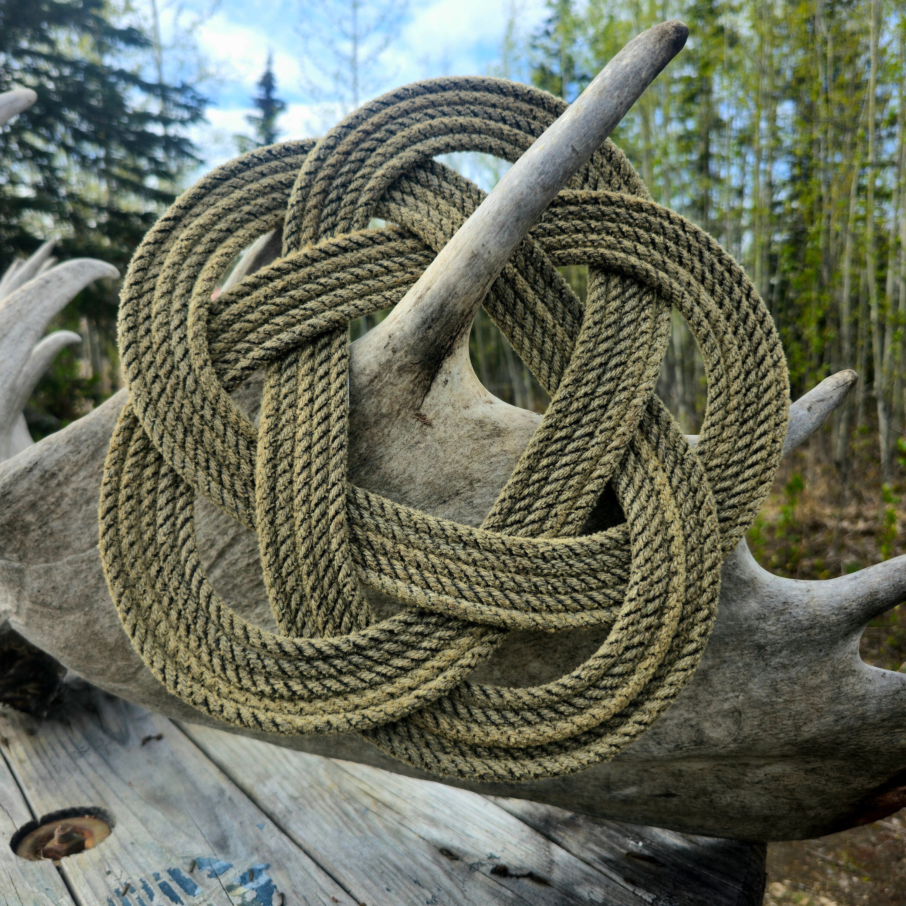 Rope Trivet-5 Star Knot