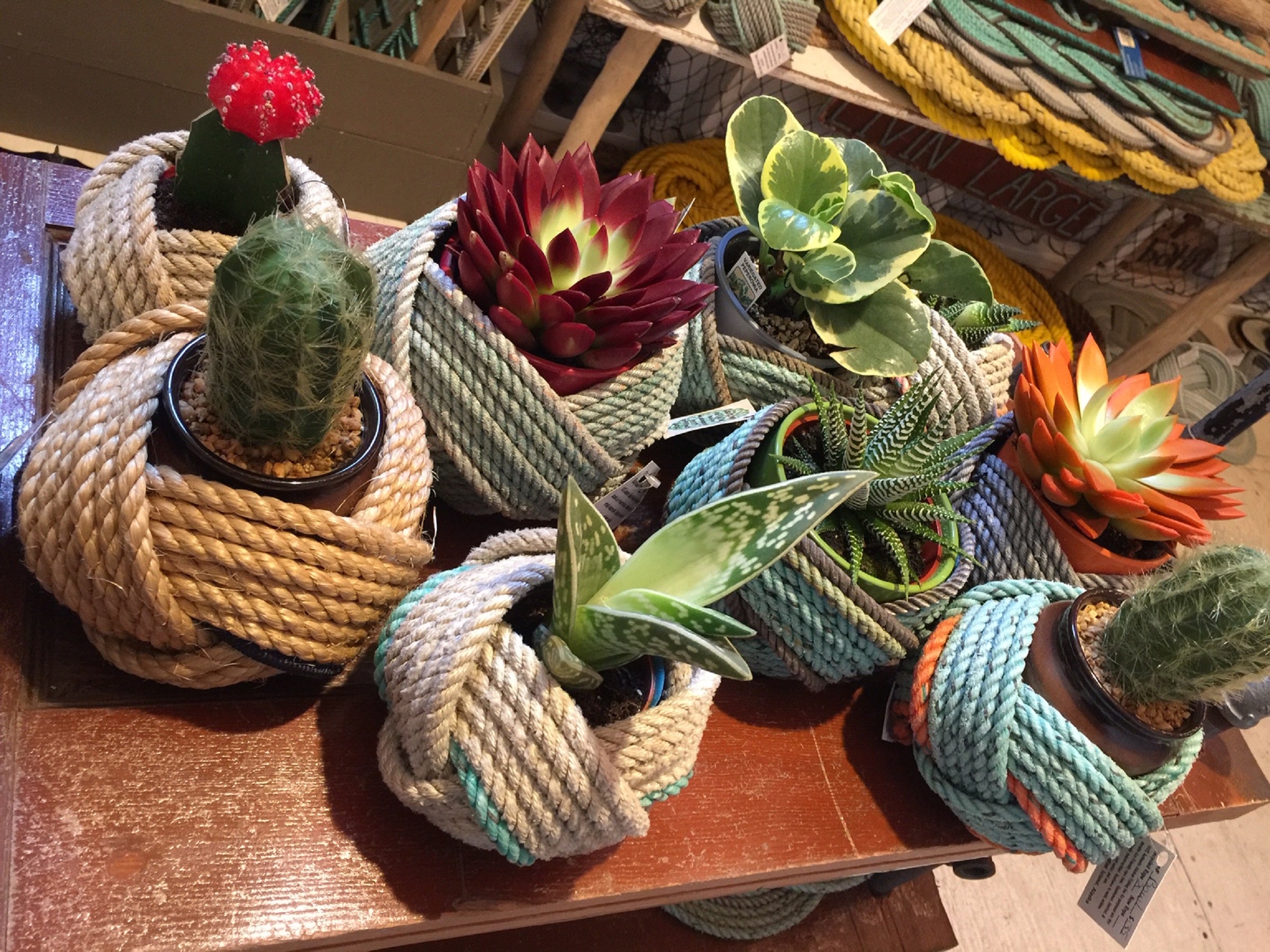 Small Bowl Basket 2 Color