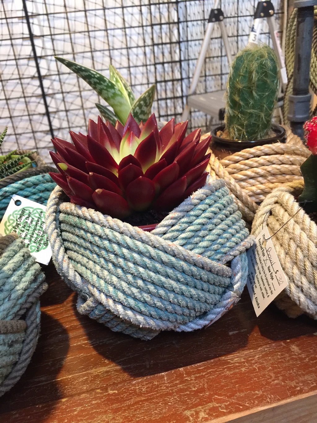 Silver Rope Bowl | Artist's Choice Accent Color