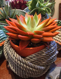 Small Recycled Silver Rope Bowl | Nautical Home Storage